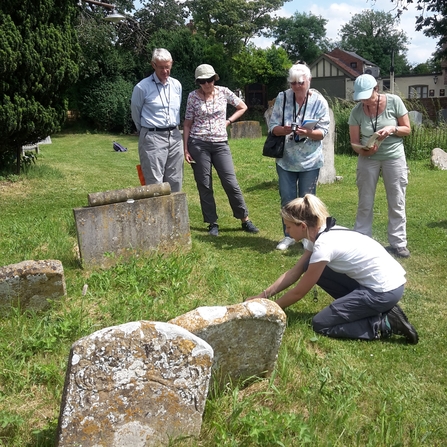 Group of people surveying plants