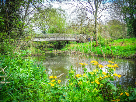 The River Cherwell running through Banbury's Spiceball Park by Judith Verdon