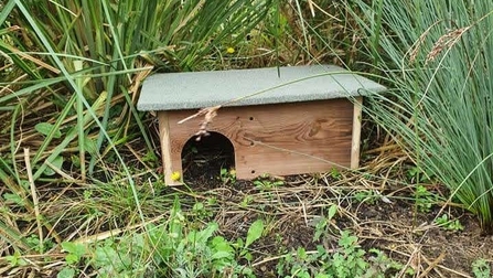 Hedgehog hotel