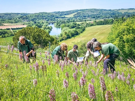 Ecology team surveying Hartslock nature reserve