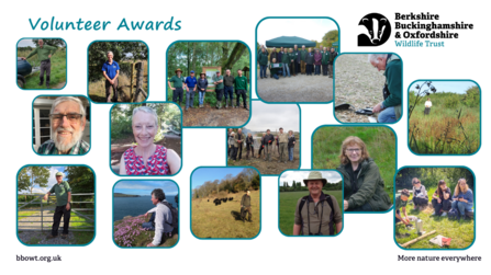 Winners of the BBOWT Volunteer Awards 2023