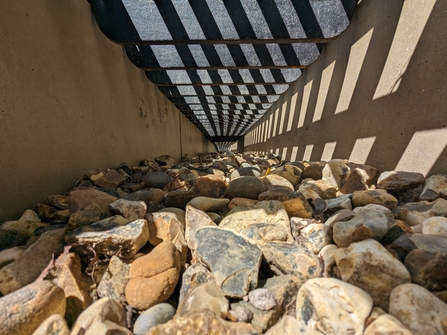 The bottom of a snake tunnel which is lined with stones
