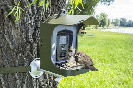 Technaxx Bird Feeder Camera Station
