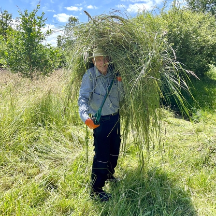 A man stood holding a large amount of cut grass