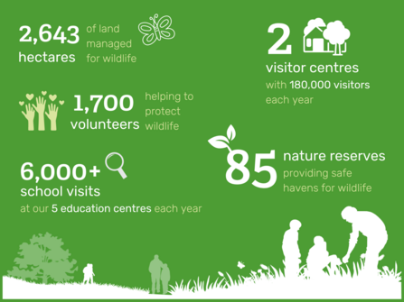 Information graphic showing BBOWT statistics including 85 nature reserves and 1,700 volunteers