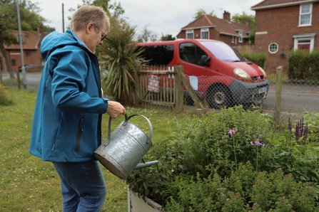 Person watering plants with a watering can