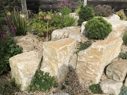 Rock garden with green plants growing in amongst large rocks and gravel