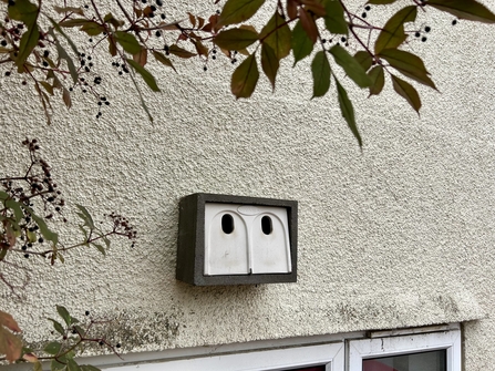 Woodcrete bird box hanging on a white wall