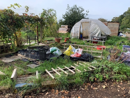 Allotment covered with plastic bags and old pallets