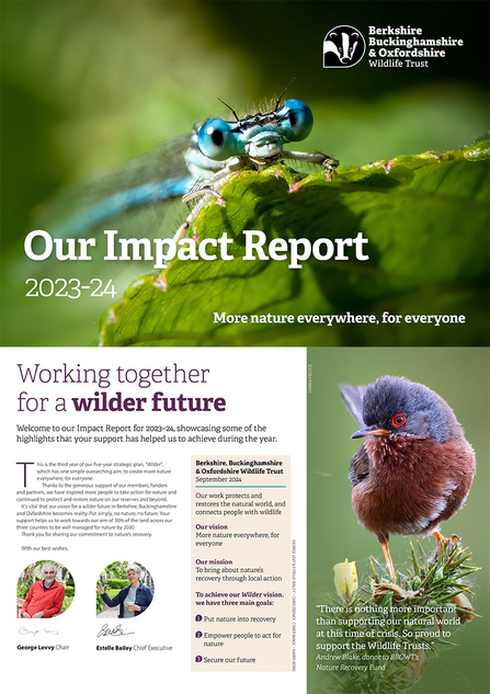 Cover image of the BBOWT Impact Report 2023-24 featuring a macro photograph of a damselfly