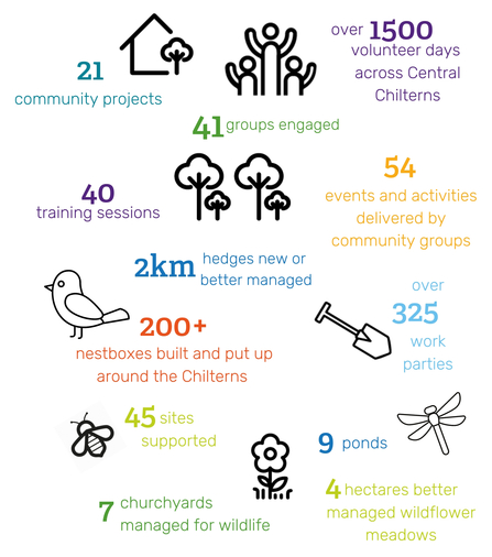 Infographic showing the positive outcomes of the Rough Around the Edges project including 1,500 volunteer days across the Central Chilterns engaging 41 community groups