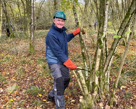 A man with a sharp blade copping a tree