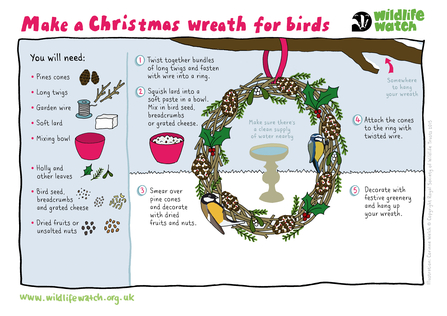 Instructions to make a Christmas wreath for birds 