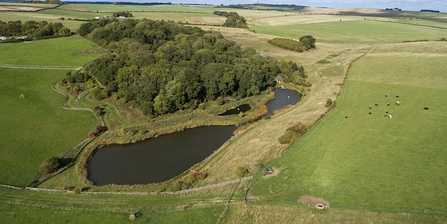 Sheepdrove organic farm