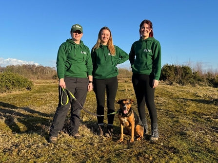 Seasonal wardens stand on Greenham Common on a sunny day, with a dog on the lead