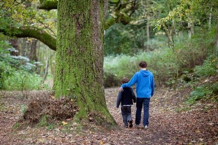 Two young children walk together in the woods