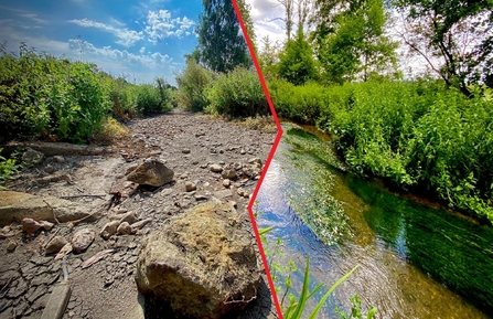 Split image showing a dry riverbed vs a healthy chalk stream