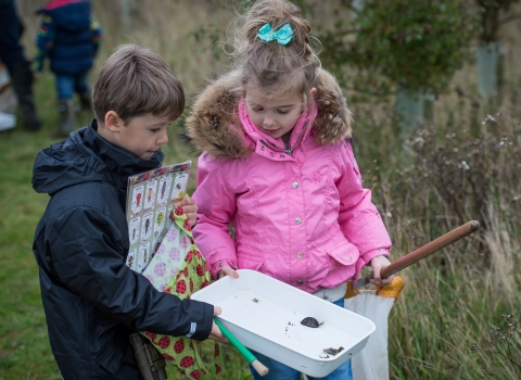 Pond dipping