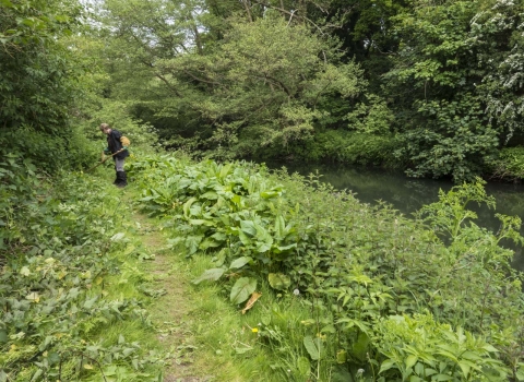 Loddon nature reserve