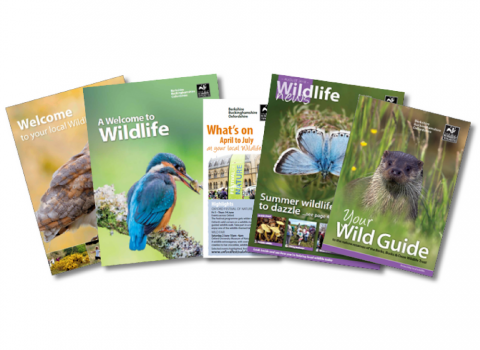 Your membership benefits