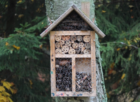 Bug hotel