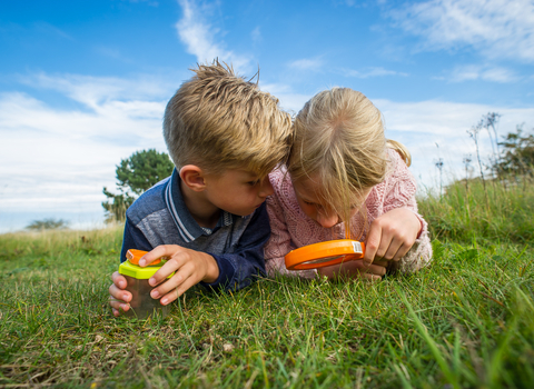 Children hunting for insects with a magnifier