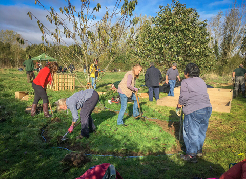 BBOWT staff and volunteers start work on the Trust's new Engaging With Nature community garden at the Nature Discovery Centre, Thatcham. Picture: Lis Speight
