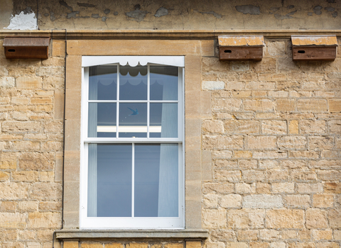 Swift boxes at the BBOWT headquarters in Oxford