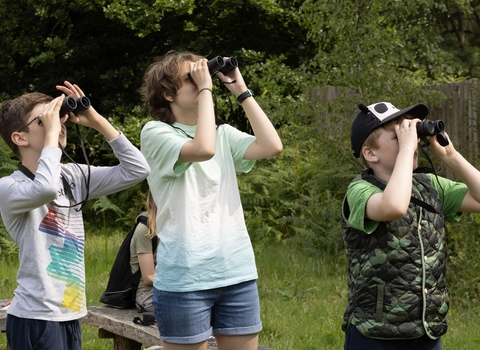 Three teenagers in a meadow. The person on the left is wearing a long sleeved grey t-shirt and blue jeans. He has short hair and is wearing glasses. The middle person is wearing denim shorts and a tie-dye t-shirt and has short, wavy hair. The third person on the right is wearing a green t-shirt and a camouflage gilet, a cap and jeans. All are using binoculars and looking up to the right.