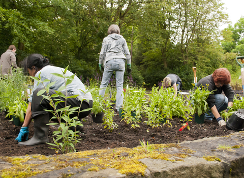 Community garden