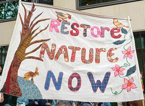 Restore Nature Now banner