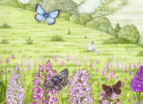 Illustration of Hartslock nature reserve showing green meadows, flowers and butterflies