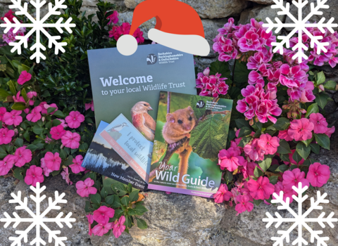 BBOWT Gift Membership Pack with Christmas theme