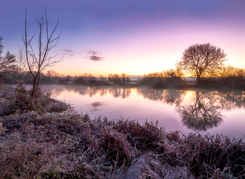 A frost-covered landscape, winter at Cholsey Marsh, Oxfordshire