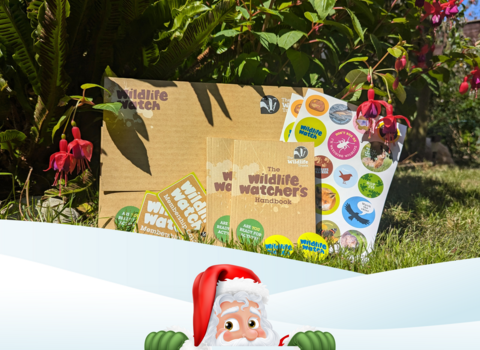 BBOWT Family Membership Pack with Christmas theme